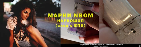 хмурый Бердск