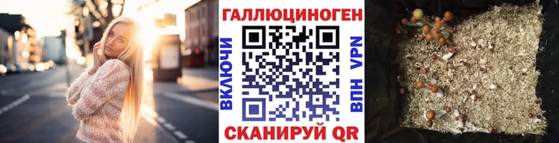 мега онион Боготол Псилоцибиновые грибы ЛСД цена наркотик